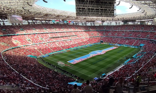 动各类体育 动各类体育