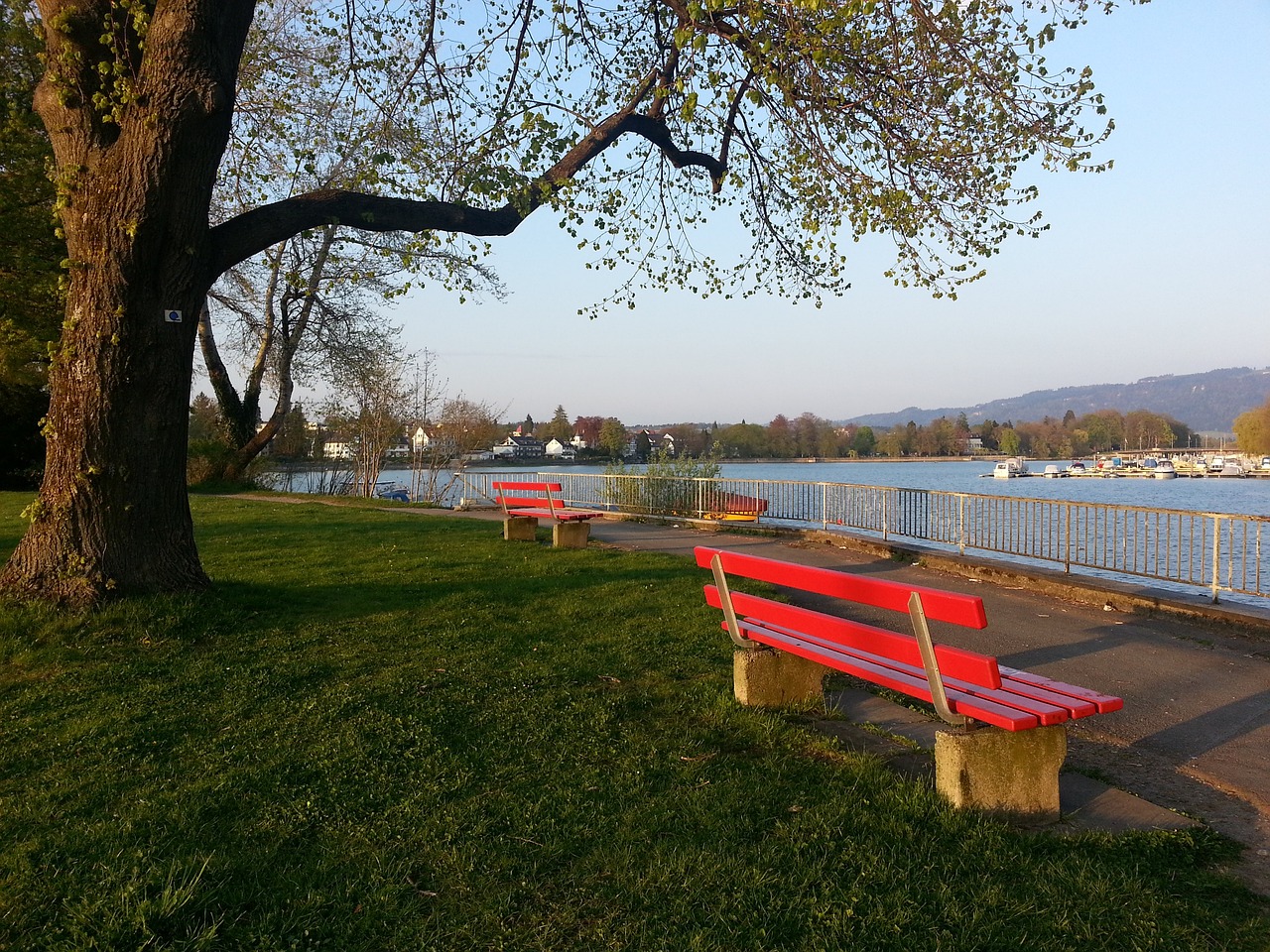 知名度和影 知名度和影